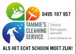 TammiesCLEANING
